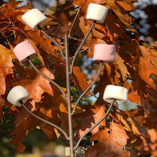 Firepits Uk - Marshmallow Fork - Timeout Gardens