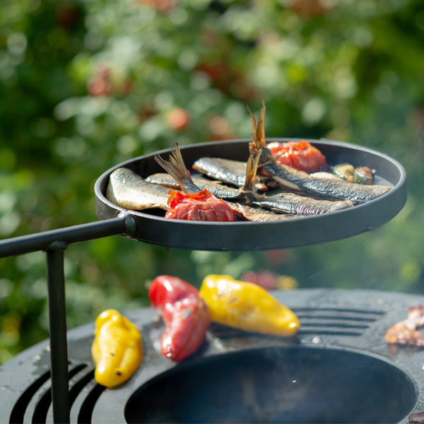 BBQ Ring with Warming Swing Arm Collection - Timeout Gardens